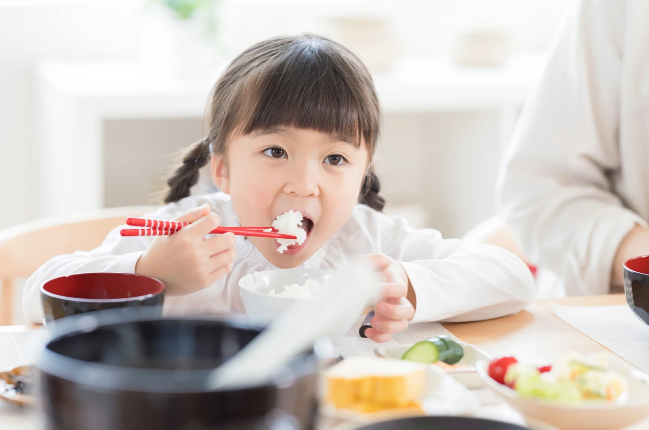 一般歯科について