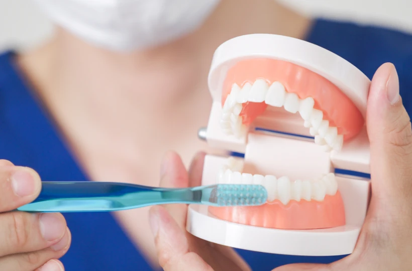 ブラッシング指導